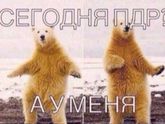 Пдр!!