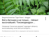 Кто это??