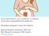 Вес плода