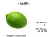 Немножко о наших новостях!