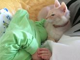 Выключили отопление