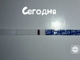 Тесты-врунишки!!!