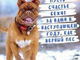 Всех мамочек и будущих мамочек с наступающим Новым Годом.