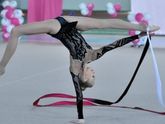 Художественная гимнастика или фигурное катание ???