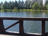 Прогулка и новая вещичка?