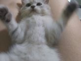 Замучали мальчика💓💓💓