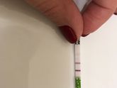 Тест на овуляцию!