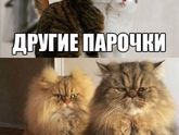 Ржу?