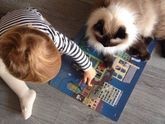 Человеку нужен кот.