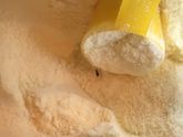 Жучок в смеси Nutrilon ???