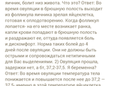 Тест на овуляцию