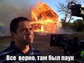 Фууу огромный паук дома!!!!