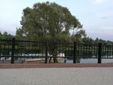 Прогулочка