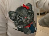 рисунок на одежде