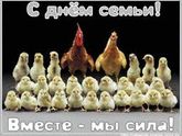 с днем семьи!!!