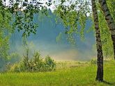 Лето в деревне