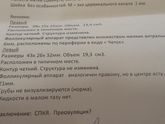 Узи!! Укол хгч?