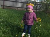 Любим очень собирать одуванчики
