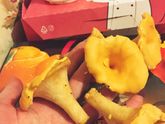 Смотрите, какие классные...