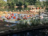 Московский зоопарк