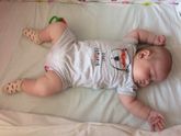 Закон мирового свинства