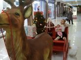 Девчонки, привет и с новым годом!!!(фото)