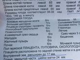 Ну вот сходила я