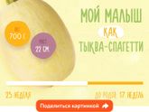 Моя девочка-тыковка??