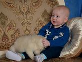 Вот тебе уже и 8 месяцев