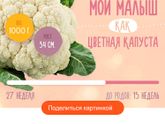 Всем приветик , малыш