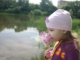 Пол дня лета