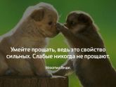 Перестала страдать фигней