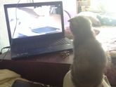 Вот так мы отдыхаем)