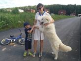 Собака-кусака