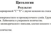 Цитология