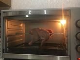 Курочка гриль