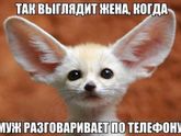 Смех продлевает жизнь