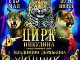 Цирк Никулина