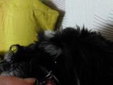 Вот она цена крепкого утреннего сна?