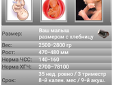 35 недель счастья!!!