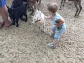 О нас немного