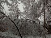 Зима ❄⛄
