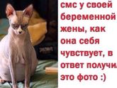 У меня сегодня ПДР???