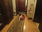 Новогодний квест 25-29 декабря
