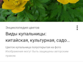 Цветочницы, садоводницы!!!
