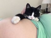 Котейка приболдел