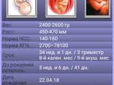34 недельки и 1 день))))