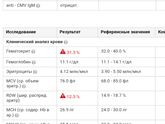 Сдали анализы
