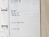 Bullet Journal (6)