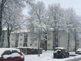 Зима